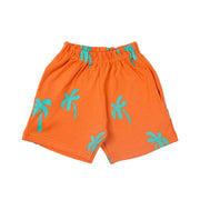 SHIRT & SHORTS CO-ORD SET