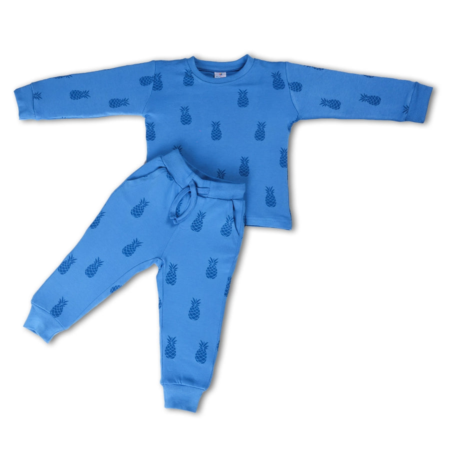 T SHIRT WITH JOGGER CO-ORD SET (Single)