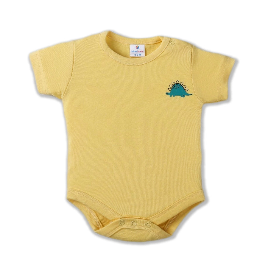 HALF SLEEVES ONESIES NEW BORN (PO2)