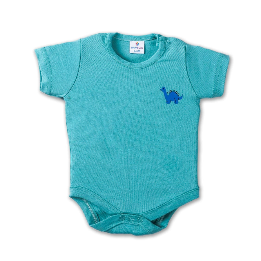 HALF SLEEVES ONESIES NEW BORN (PO2)