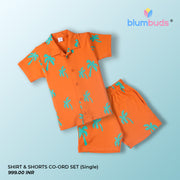 SHIRT & SHORTS CO-ORD SET